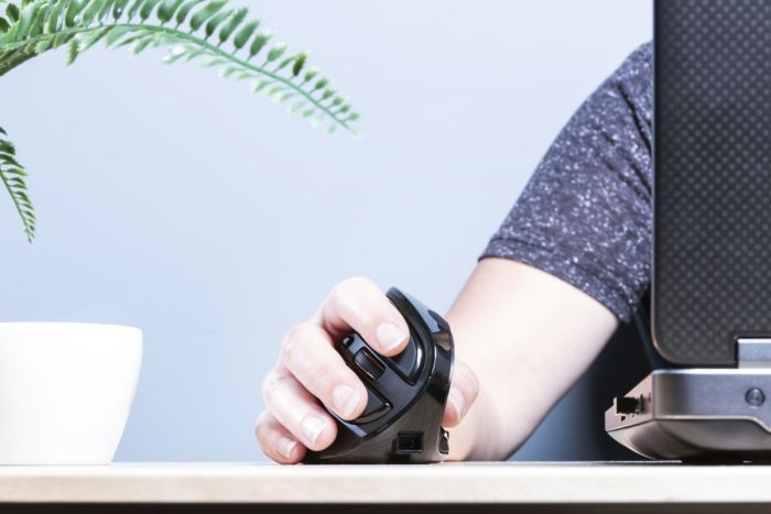 Mouse Trust Voxx Rechargeable Ergonomic WL Black