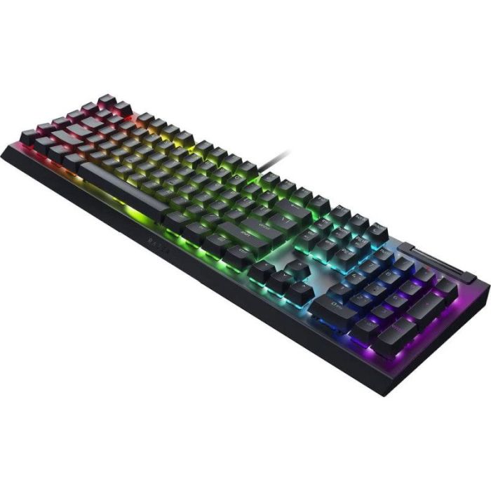 Клавиатура механическая Razer BlackWidow V4 X 110key, Green Switch, USB-A, EN/RU, RGB, чёрный